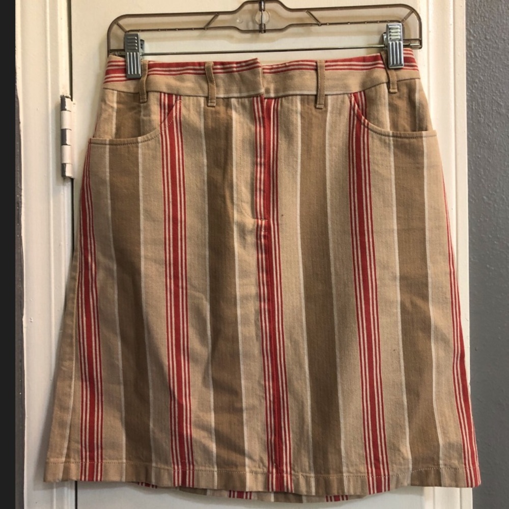Ann Taylor skirt
